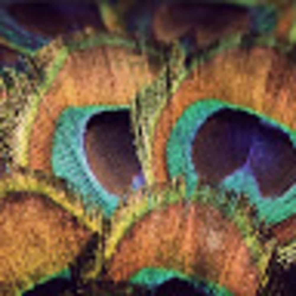 Meet your Posher, Tiffany